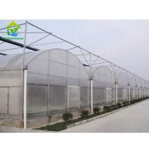 China Plastic Sheet Hydroponic Greenhouse Systems Multi Span on sale