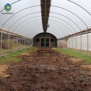 0.5KN/M2 Clear Polythene 4m Single Tunnel Greenhouse