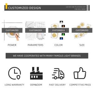 4055 Bi-Color 2700K 6500K High Power 300W+300W COB LED Chip Module for