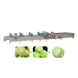 Vegetable Washing and Drying Machine Fresh Fruit Vegetable Processing Units Low