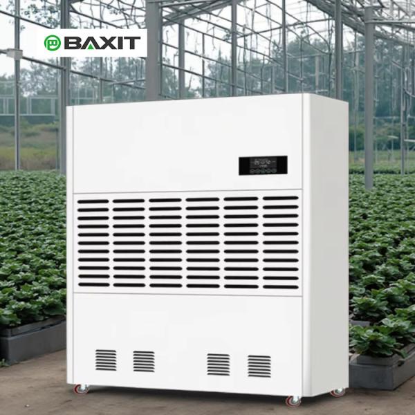 Large Industrial Dehumidifier with 1440L per Day Capacity for Warehouses &