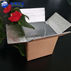 Insulated Aluminium Foil Packaging Cardboard Box Caviar Chocolate Transport HZ