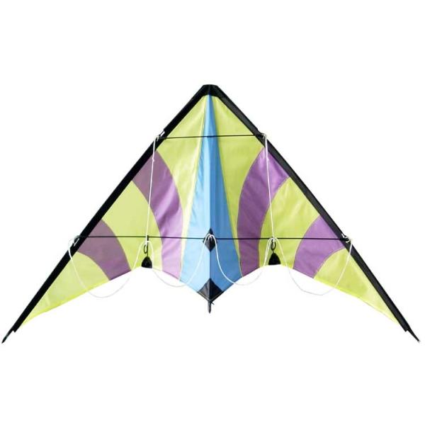 Variability of the diamond stunt kite fish sharp style with beach