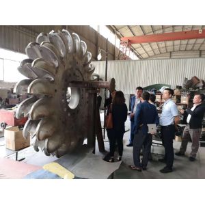 100kw-50mw 6-10kV F Rated Frequency Pelton Turbine Generator With Stainless