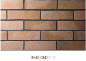 Cheap Low Water Absorption Exterior Thin Brick Durable For Real Estate for sale
