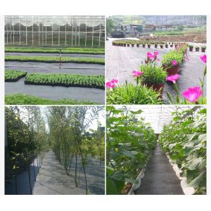 Horticulture 2mm Reflective Plastic Weed Barrier 500ft Stop Weeds Membrane