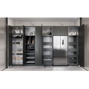 Modern Stainless Steel Double-Line Kitchen Cabinet With Integrated Appliances