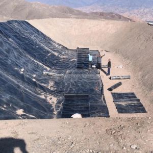 Industrial Design Style Glossy Geomembrane Fish Farm Pond Liner with Glossy