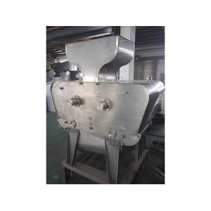 Complete Customized Cucumber Processing Line Celery/Kale/Cucumber Production