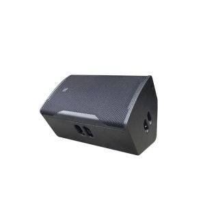 ARE Audio Single 15 Inch Monitor System Audio Speaker System Passive Professiona