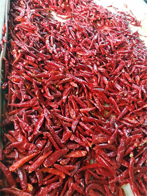 3CM Dried Birds Eye Chilli Pungent Red Chili Pods Dehydrated Without Stem