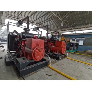 3 Cylinder Quiet Generator Dual Fuel Genset Three Phase 60HZ