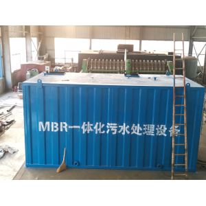 Customized Integrated MBR Equipment Hollow Fiber Membrane Module