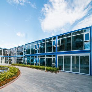 Modern Design Style Portable Living Container Mobile Houses with Customized Color