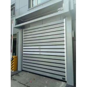 1000N Output Torque Spiral Security Garage Door with Remote Control and Aluminum