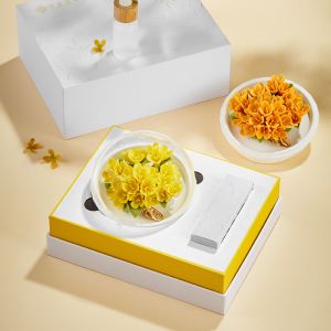 Ready To Ship In Stock Ceramic Candle Holders Fragrance Essential Oil In Custom