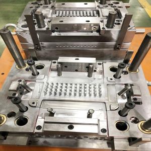 Customizable Plastic Injection Mould With Hot/Cold Runner System