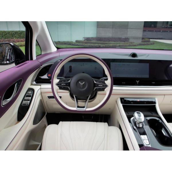 VOYAH Dreamer 2022 Private customized low-carbon version 5 Door 7seats MPV