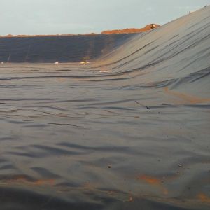 LDPE LLDPE HDPE Plastic Fish Ponds Waterproofing Membrane 0.5mm HDPE Geomembrane