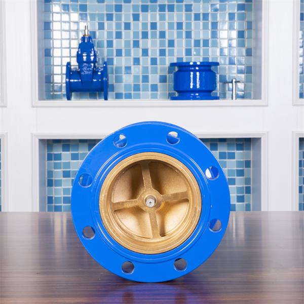 GGG40 Cast Iron Silent Check Valve Muffler QT400 DN150 Water Gas Oil