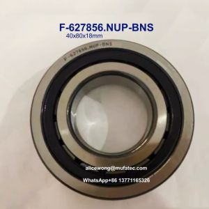 Cheap F-627856.NUP-BNS 40x80x18mm Cylindrical Roller Bearings for JAC Refine Tranmsission for sale