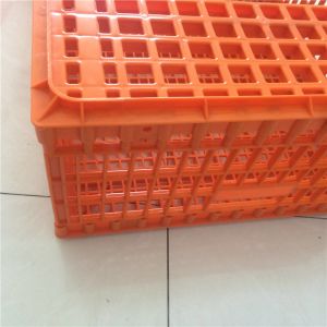 Pure PE Poultry Carrier Crate Chicken Transport Cage Customized