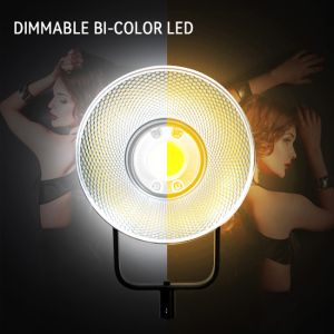 200w Daylight Studio Lights Dmx Control With Protective Cover Cob Led Spotlight