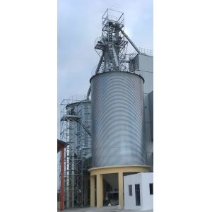 Vertical Design Steel Grain Silo Maximize Storage in Limited Spaces with 24/7
