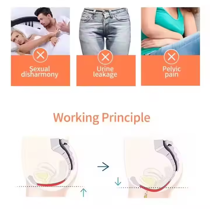 Urinary Incontinence Recovery Non Invasive EMS Stimulateing Chair