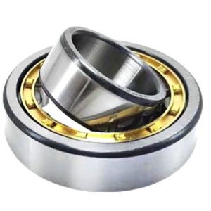 NJ309EM High Load Cylinder Roller Bearing 45x100x25 For Machinery Field