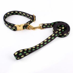 Hardware Print Fray Proof Adjustable Nylon Dog Collar/dog leash/dog harness
