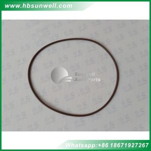 China Cummins O Ring 2863702 for M11 QSM11 ISM11 Cummins Engine O-ring 3883042 3820694 on sale