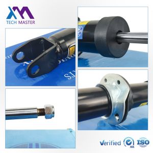 2053206701 2053206801 High Quality New Auto Parts Front Shock Absorber for