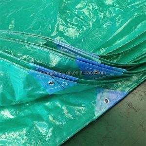 PE Tarpaulin 100% Waterproof for Truck Cover and Cargo Cover in Customer Request