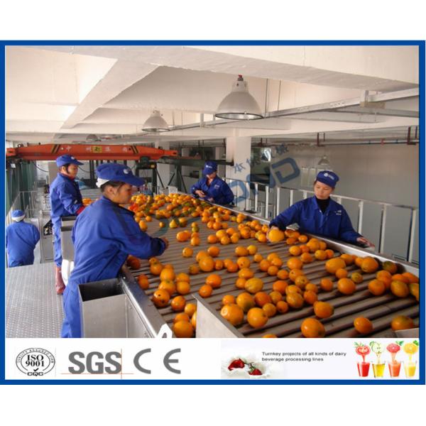 Fruit Juice Processing Equipment With Citrus / Tangerines / Orange Juice