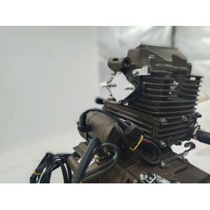 DAYANG LIFAN CG150cc Cool Engine with the pump Motorcycle Engine Assembly Single