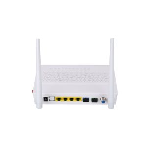 Single Double fiber Optical Network Unit ONU
