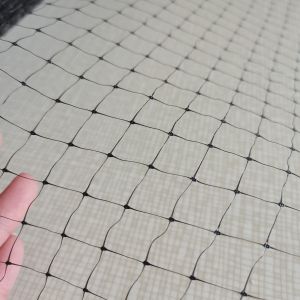 PP Anti Bird Netting Ideal for Garden Vegetables Fruit Plants and Ponds 6.8FT X