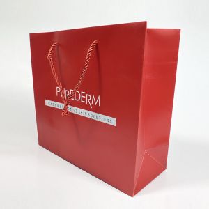 Cheap Offset Printing Patch Handle Paper Bag for Durable and Recyclable Custom Shopping for sale