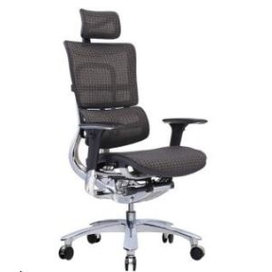 New Design Ergonomic Mesh Chair with Footrest