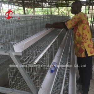 China Deluxe 120 Birds Poultry Battery Cage System 5 Cells Galvanized Doris on sale