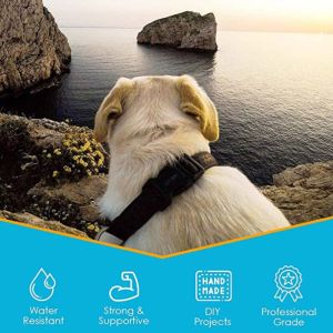 Plain Twill Polypropylene Polyester Nylon Webbing Woven Printed Tape PP Tape for