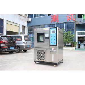 Constant Temperature And Humidity Test Cabinet According To IEC60068-2-1