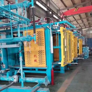 Cheap Box Packaging EPS Foam Moulding Machine For Fish And Fruit for sale