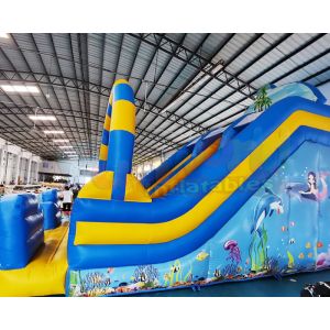 ROHS Commercial Inflatable Slide Children Bounce House In Backyard