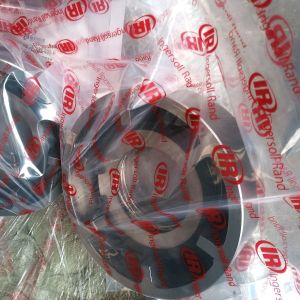 Ingersoll-Rand Air Compressor Spare Parts 92980317 Check Valve for Retail Sale