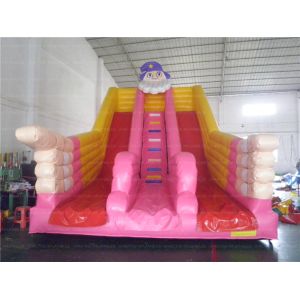 Cheap Santa Inflatable Slide (CYSL-10) for sale
