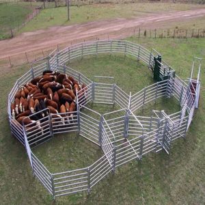 Melbourne Ranch API Pipe Tube Cattle Panels 1.8mx2.1m Round