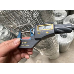 1"X1/2" Galvanized Iron Welded Wire Mesh With Alkali Resistance