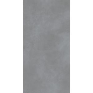 Large Format Cement Look Floor Tiles Porcelain Matte Dark Structure 60*120cm